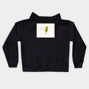 May Fly Kids Hoodie